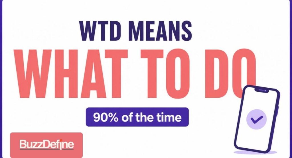 WTD meaning in text explained as What To Do
